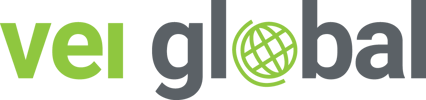 Voice-Engineer-Ireland-Ltd_logo_color (1)