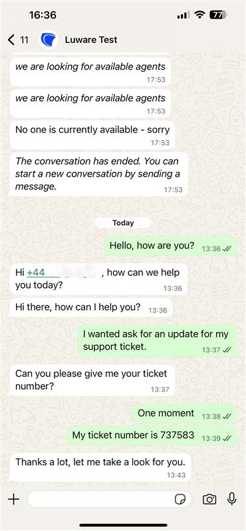 Smartphone screen showing a customer chatting with a business via WhatsApp.