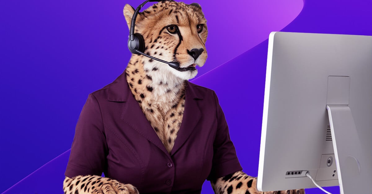Cheetah