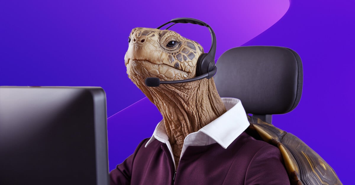 Tortoise