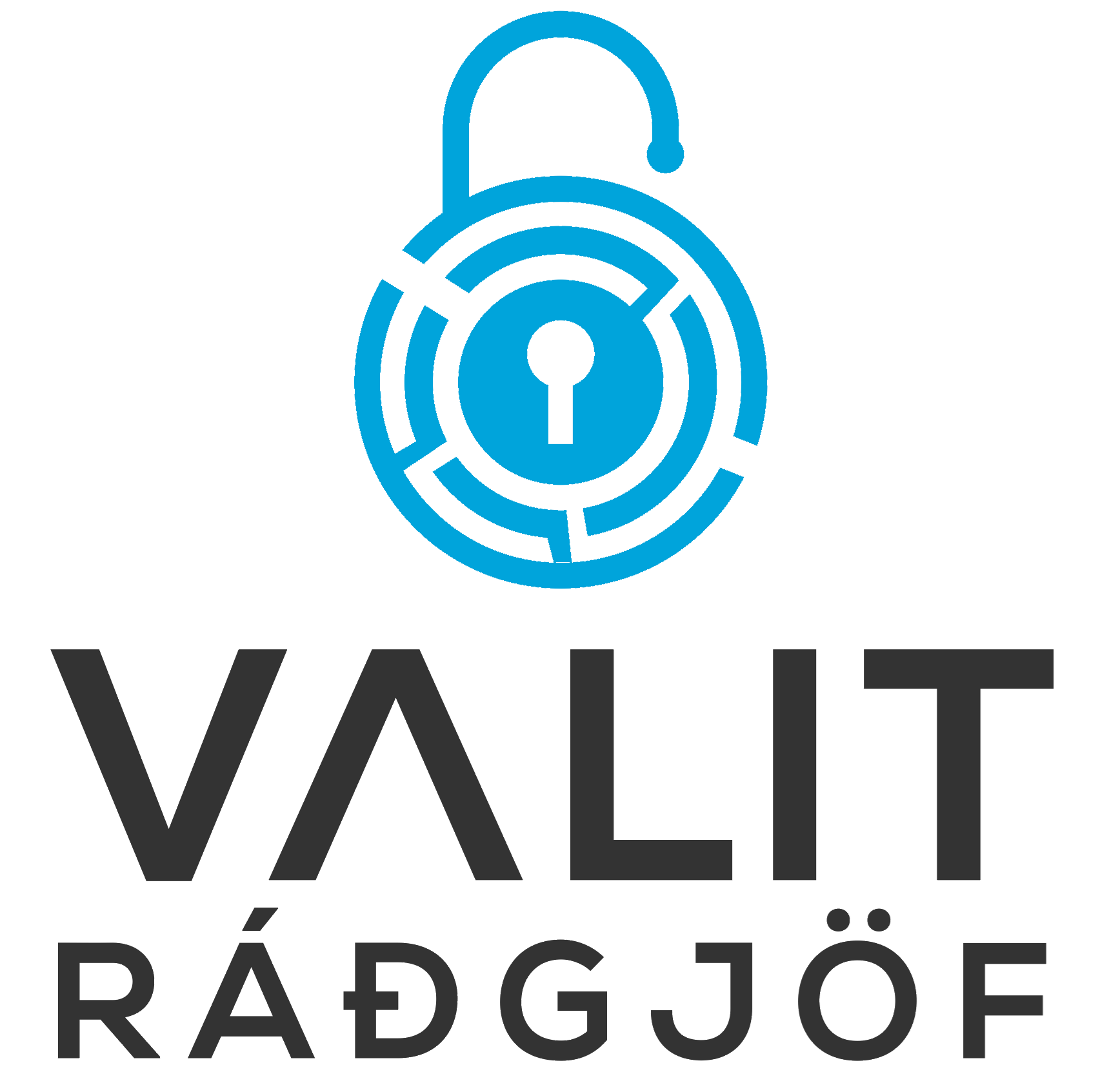 valit_logo