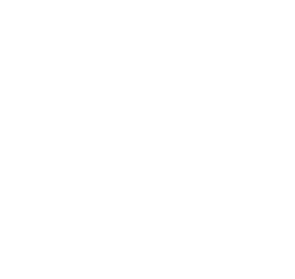 NeCo_Logo_WHITE