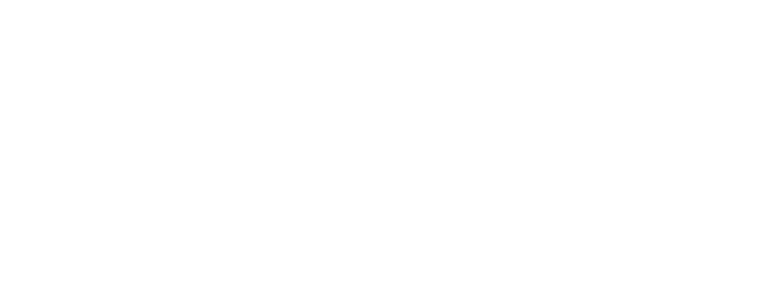 solutions_pt_white